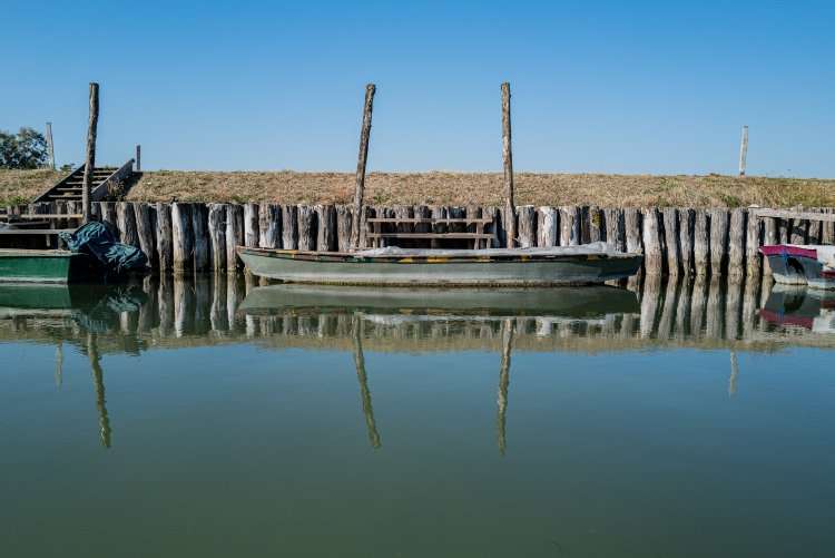 Bounties of La Serenissima18