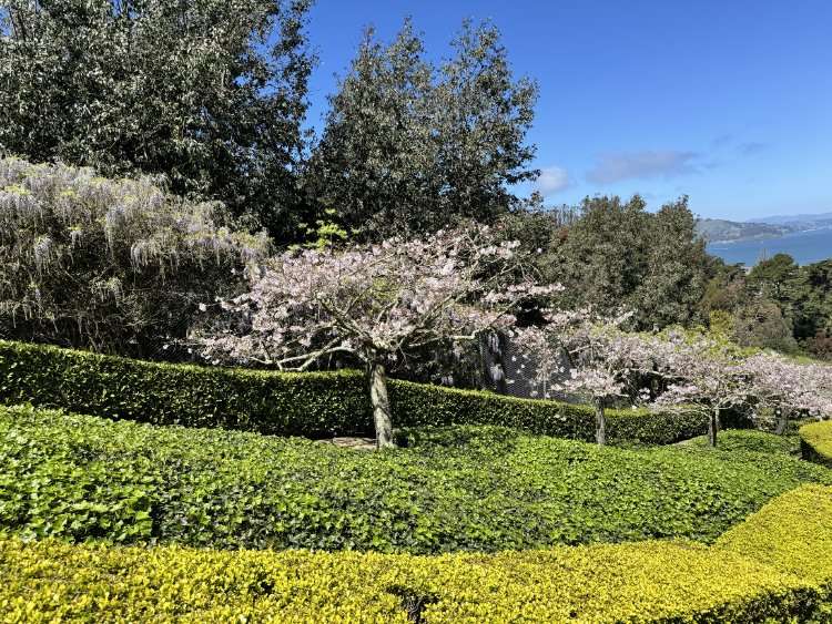 Spring in Rome57
