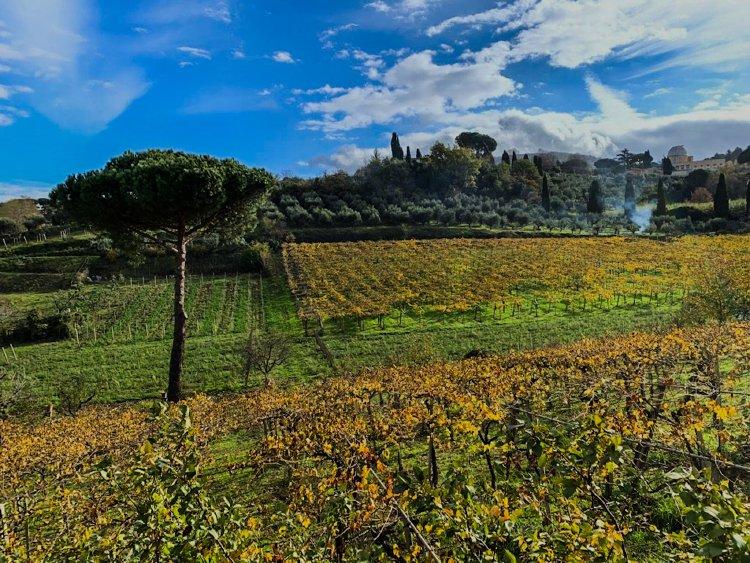 Escape to a Roman Vineyard29