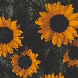 Test experience (1)87