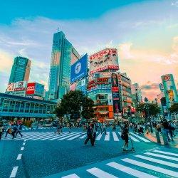 Tokio. Walking tour22