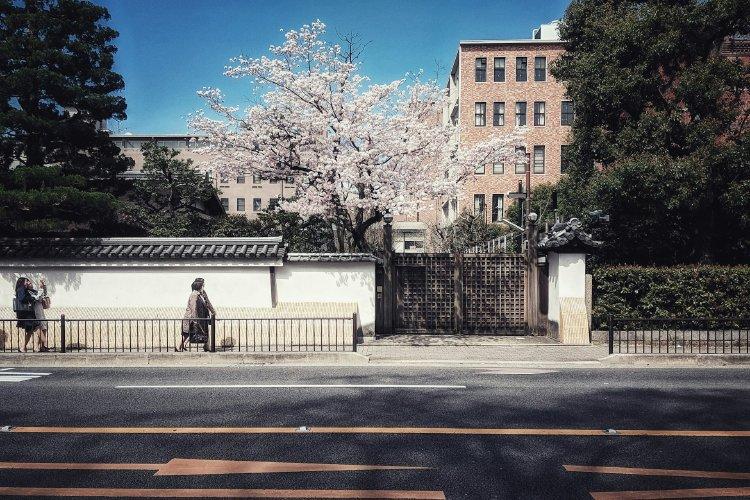 Kyoto. Walking Tour82