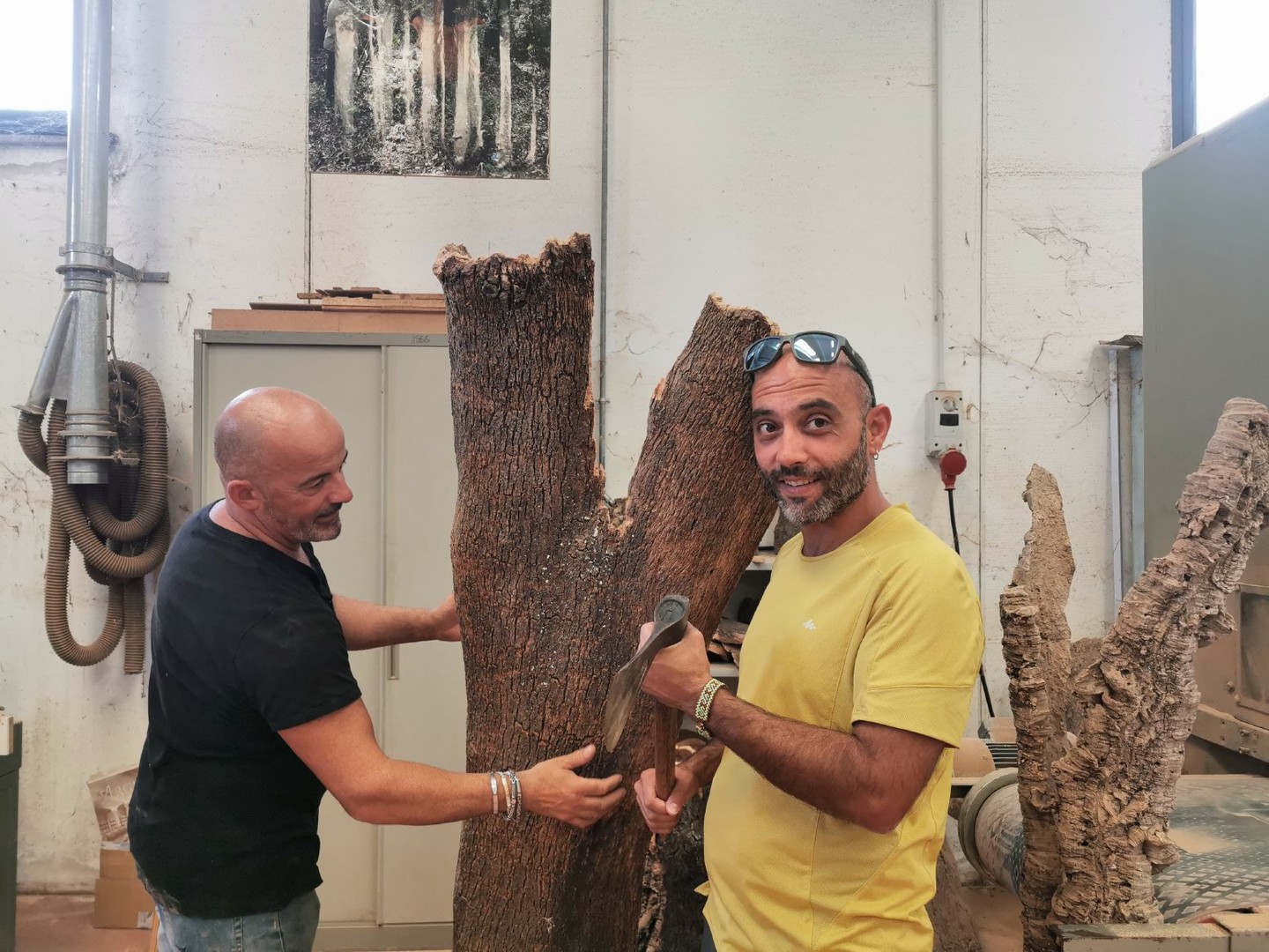 A Sardinia private tour in Gallura, exploring ancient sites, olive trees, and cork production