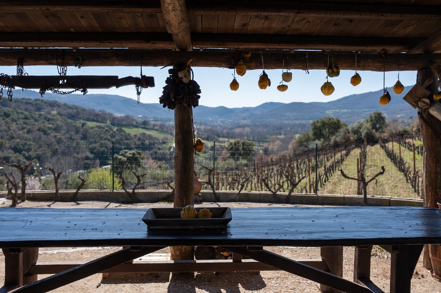 Sardinia private tour in Mamoiada: vineyard walk, Gallòpu wine tasting, Sardinian traditional lunch