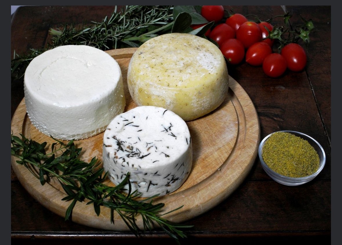 Half-day tour of Trieste's Karst region: taste local wines, matured cheeses, and a lavender farm.