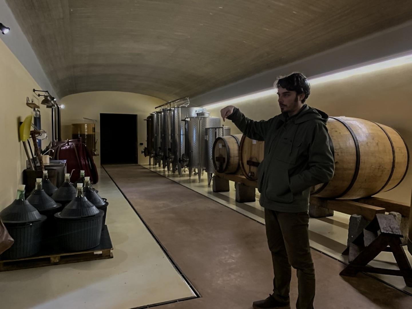 Discover organic winemaking & flavors with a private visit to a family-run low-intervention winery.