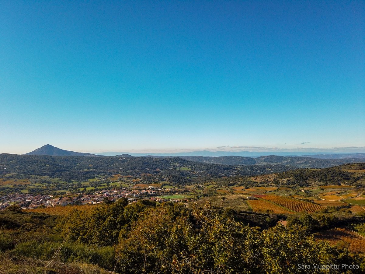 Sardinia private tour in Mamoiada: vineyard walk, Gallòpu wine tasting, Sardinian traditional lunch
