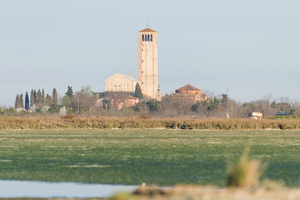 A captivating adventure through the Venetian Lagoon's rich flora and fauna on a leisurely boat tour.