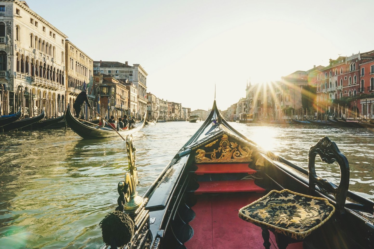 On a private Venice tour: Destination vow renewal with gondola ride, celebrant, and stunning photos