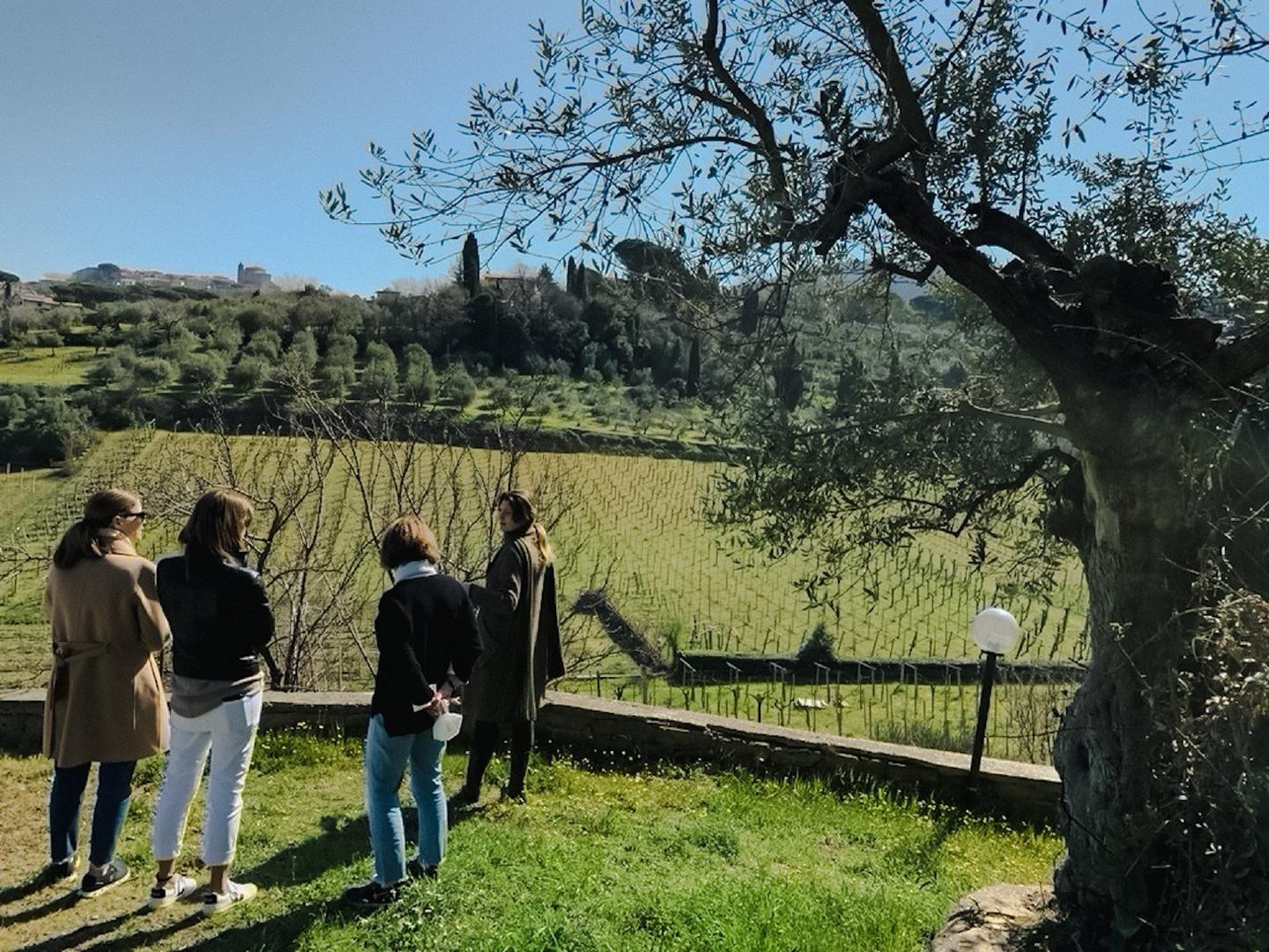 Discover organic winemaking & flavors with a private visit to a family-run low-intervention winery.