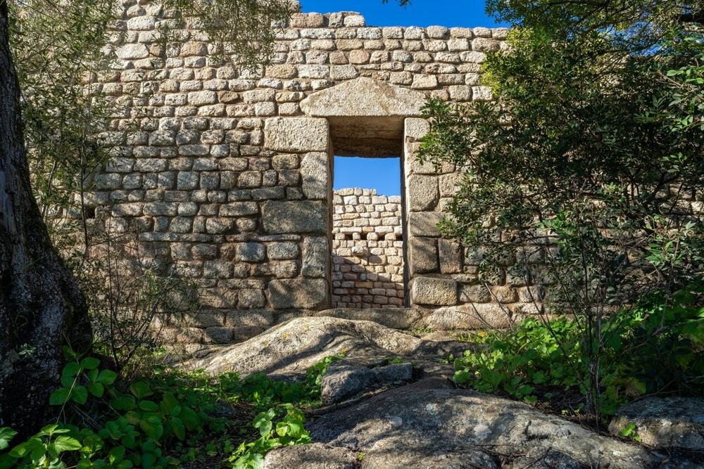 A Sardinia private tour in Gallura, exploring ancient sites, olive trees, and cork production
