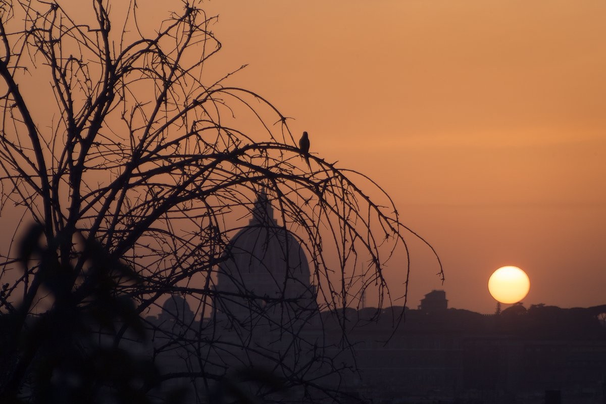 Evening Rome photographic walk with art, history, local food and Renaissance sites.