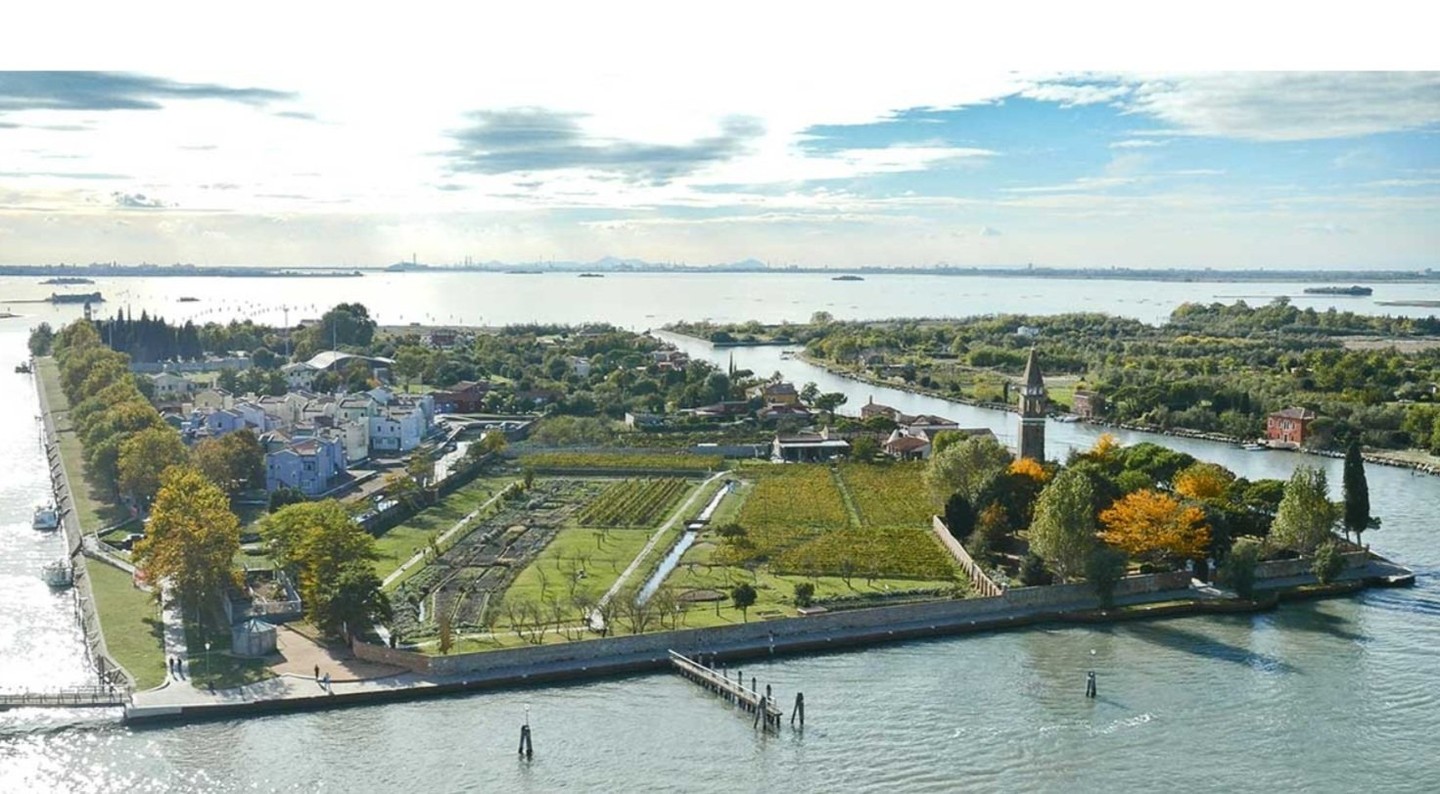 Unveil the mysteries of the Venetian lagoon with a captivating 6-hour boat tour and vineyard visit.