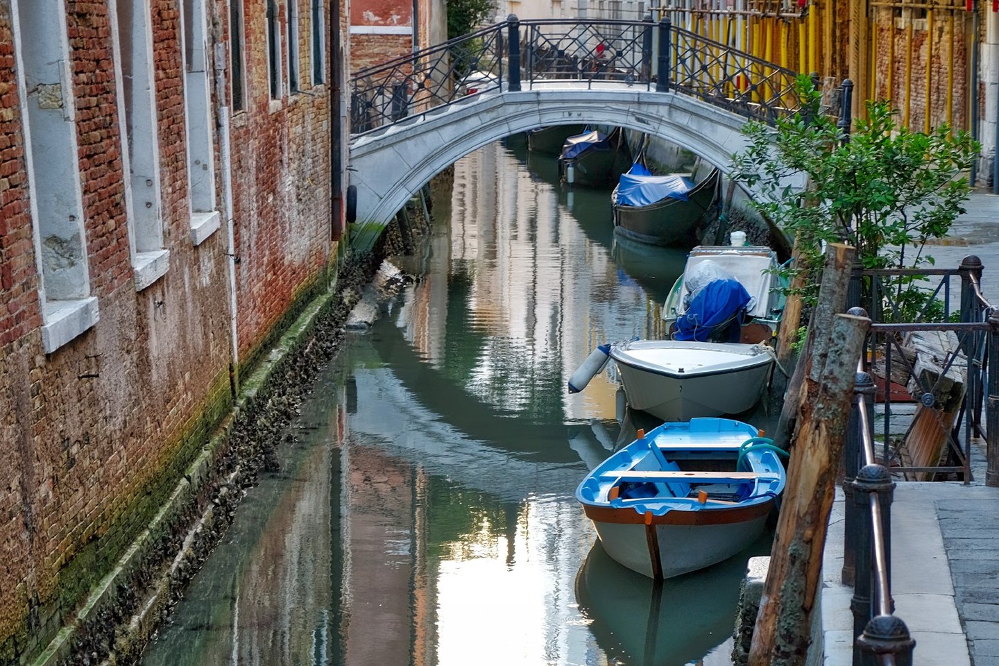Capture Venice's timeless beauty in a 5-hour photo walk.