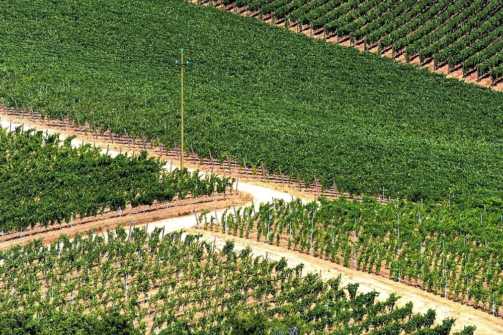 A Sardinia private tour in Gallura, exploring ancient sites, olive trees, and cork production