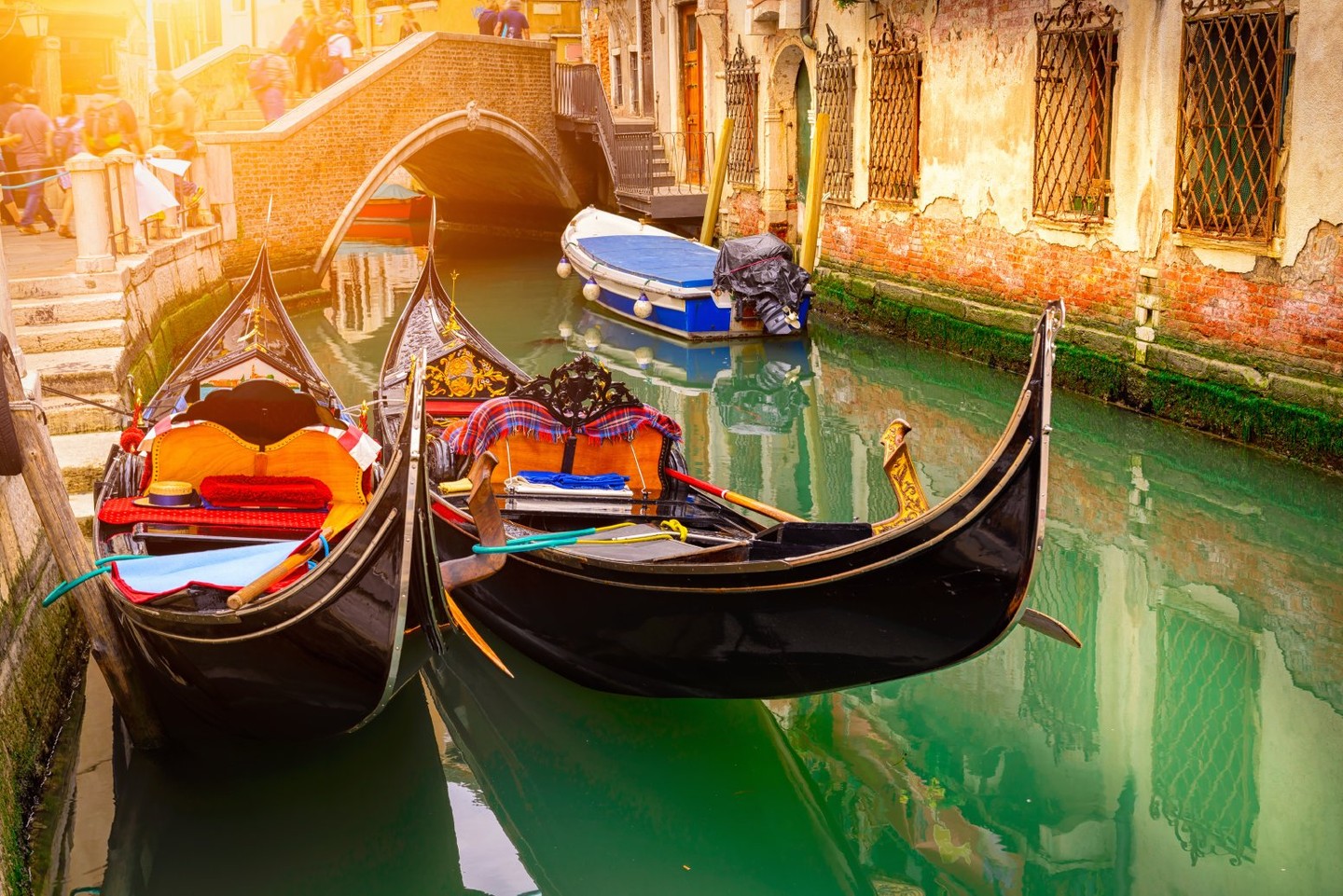 On a private Venice tour: Destination vow renewal with gondola ride, celebrant, and stunning photos