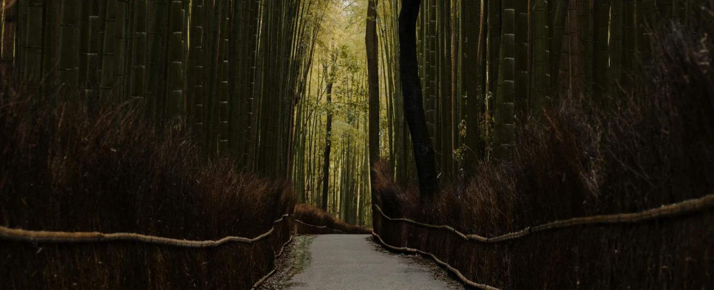This experience takes place in Shiretoko Peninsula, Hokkaido.