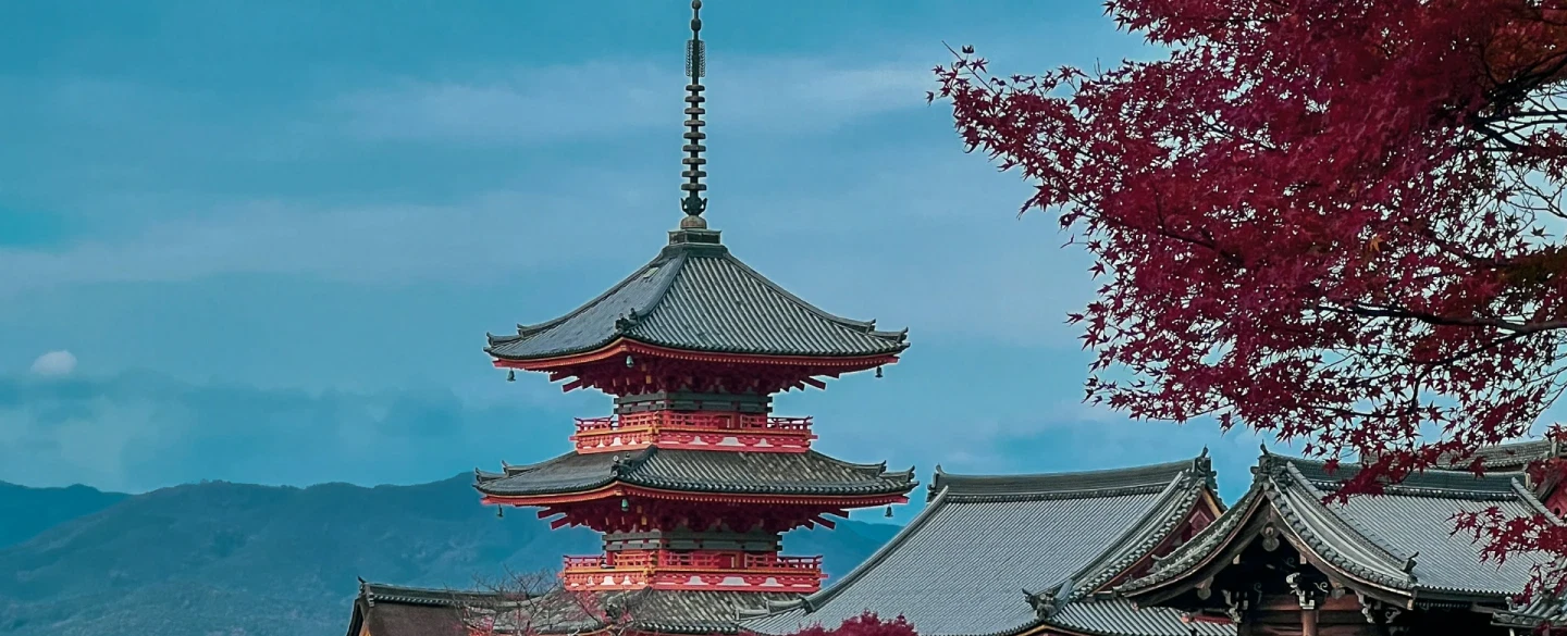This experience takes place in Shiretoko Peninsula, Hokkaido.
