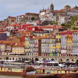 Porto Walking Tour74