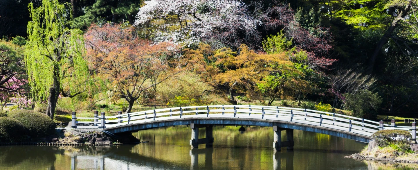 This experience takes place in Shiretoko Peninsula, Hokkaido.