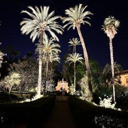 Alcazar Garden99