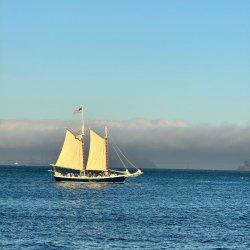 Sailing around Golden Gate95