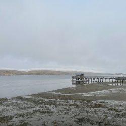 Oyster Farming18