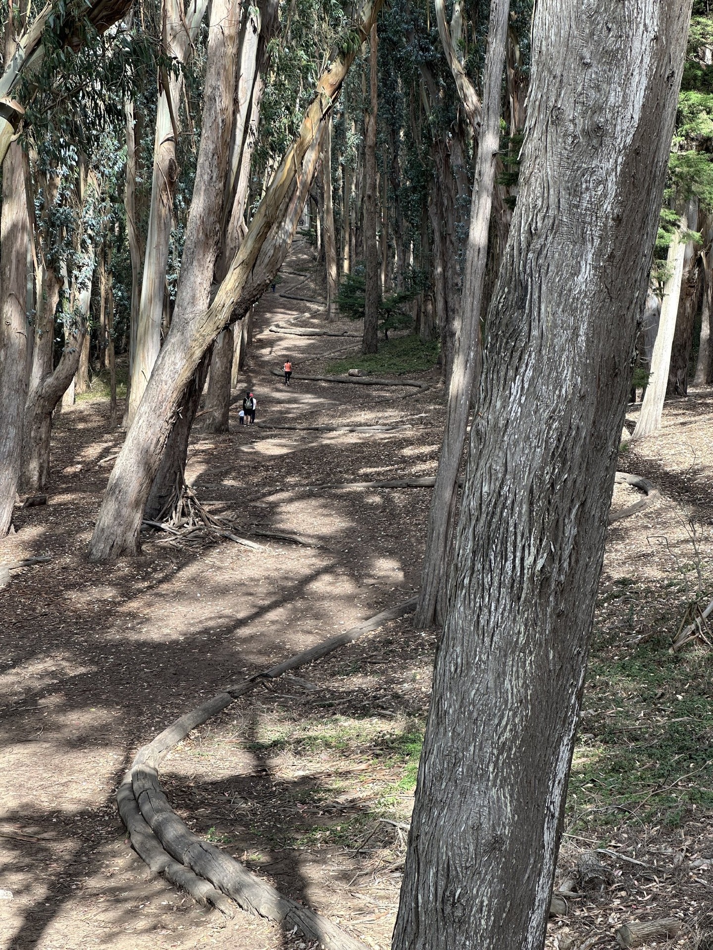 Walk
