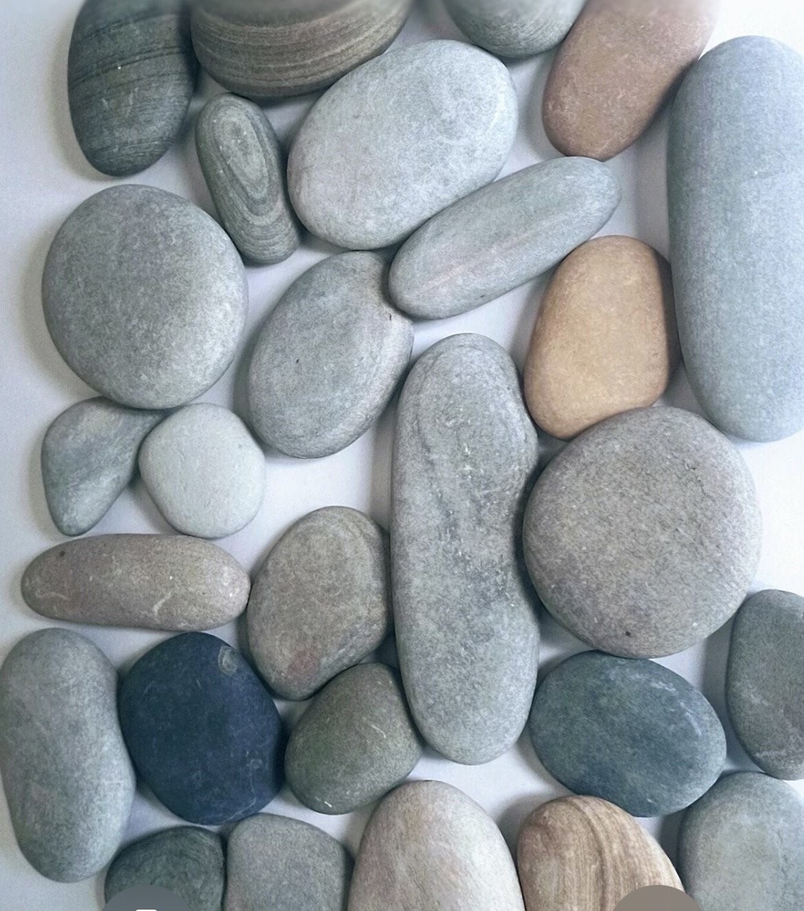 Q