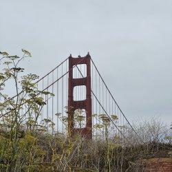 Golden Gate Bridge walk72