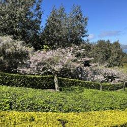 Spring in Rome57